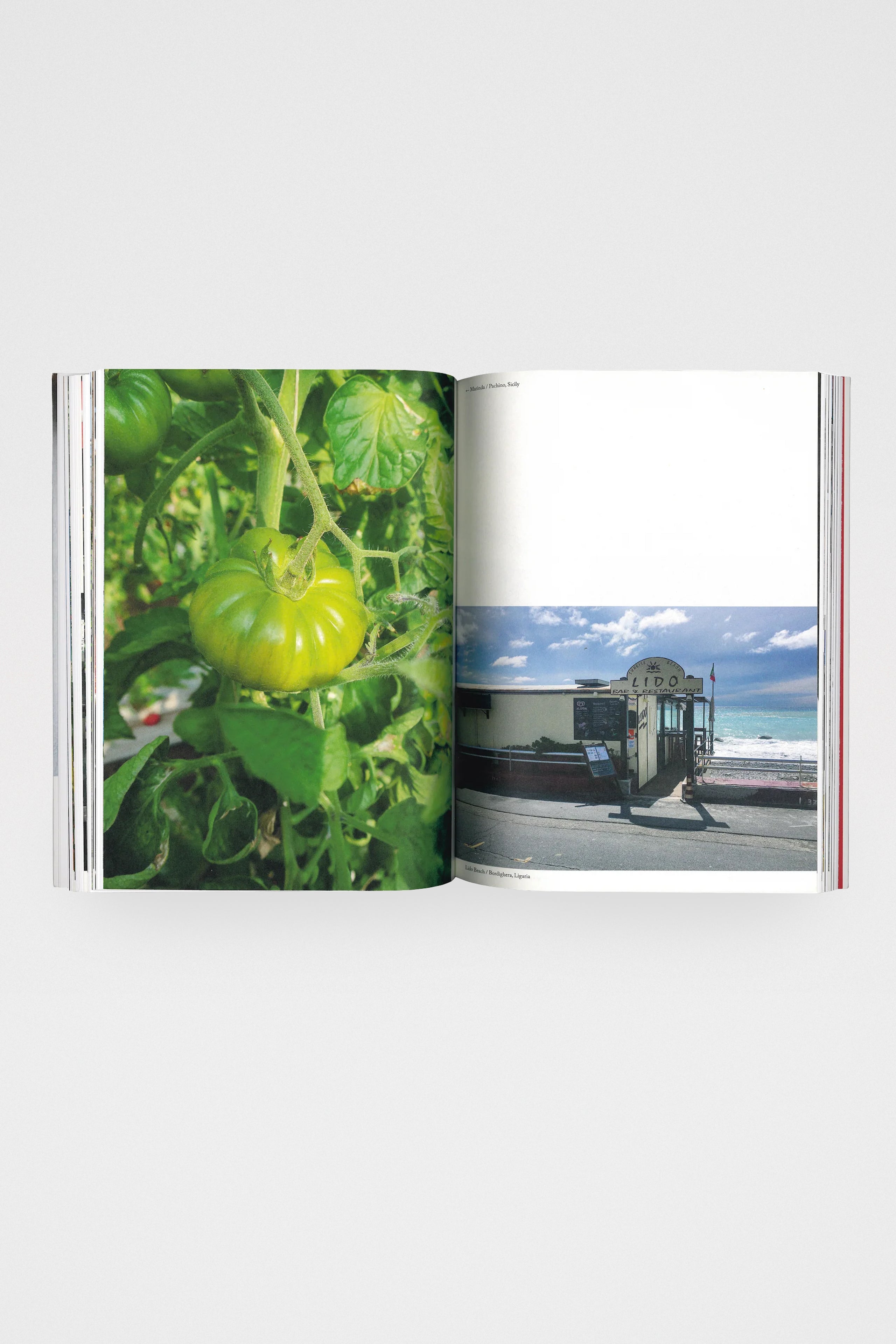 Osteria 16: Easy Pasta