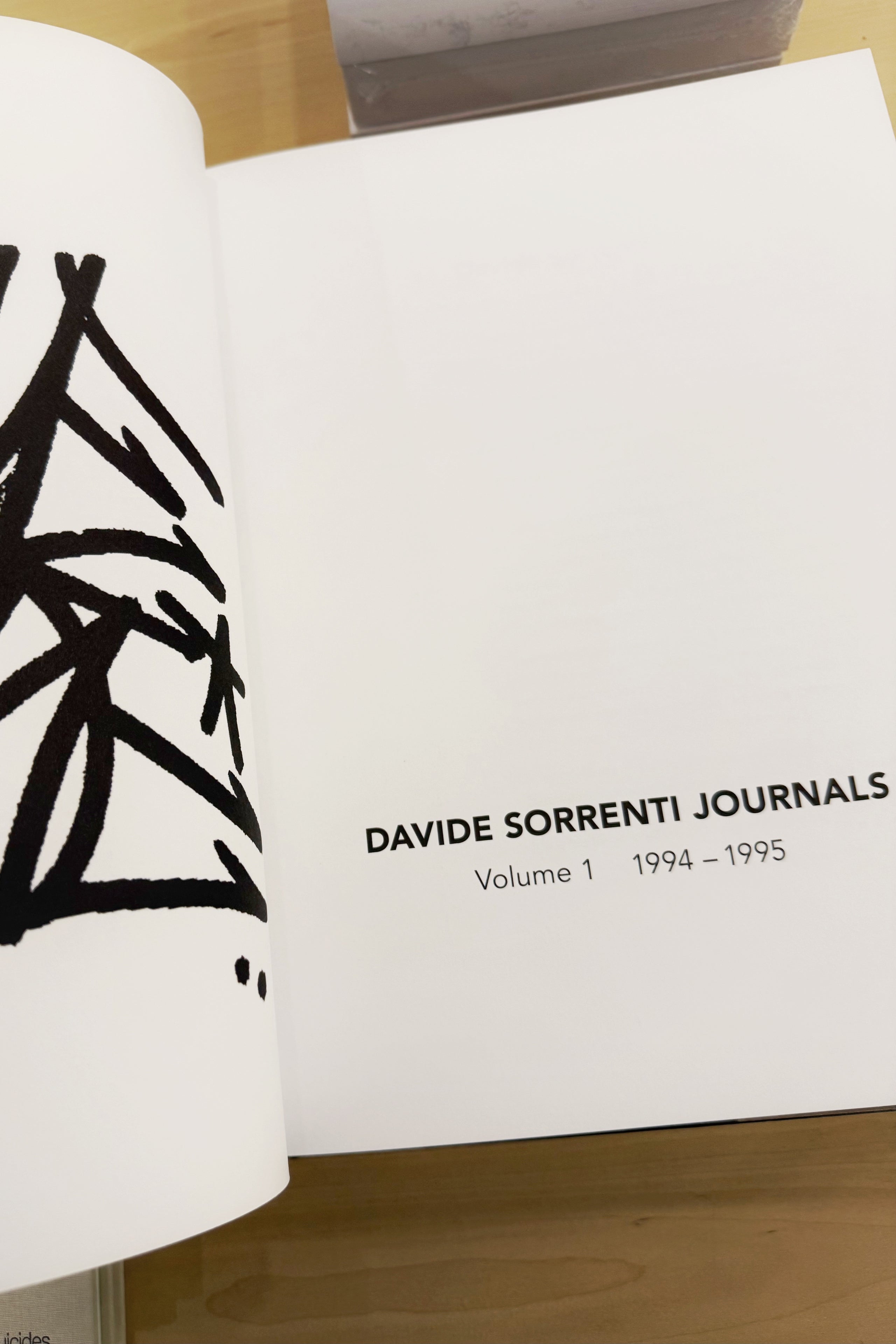 David Sorrenti Journals Volume 1