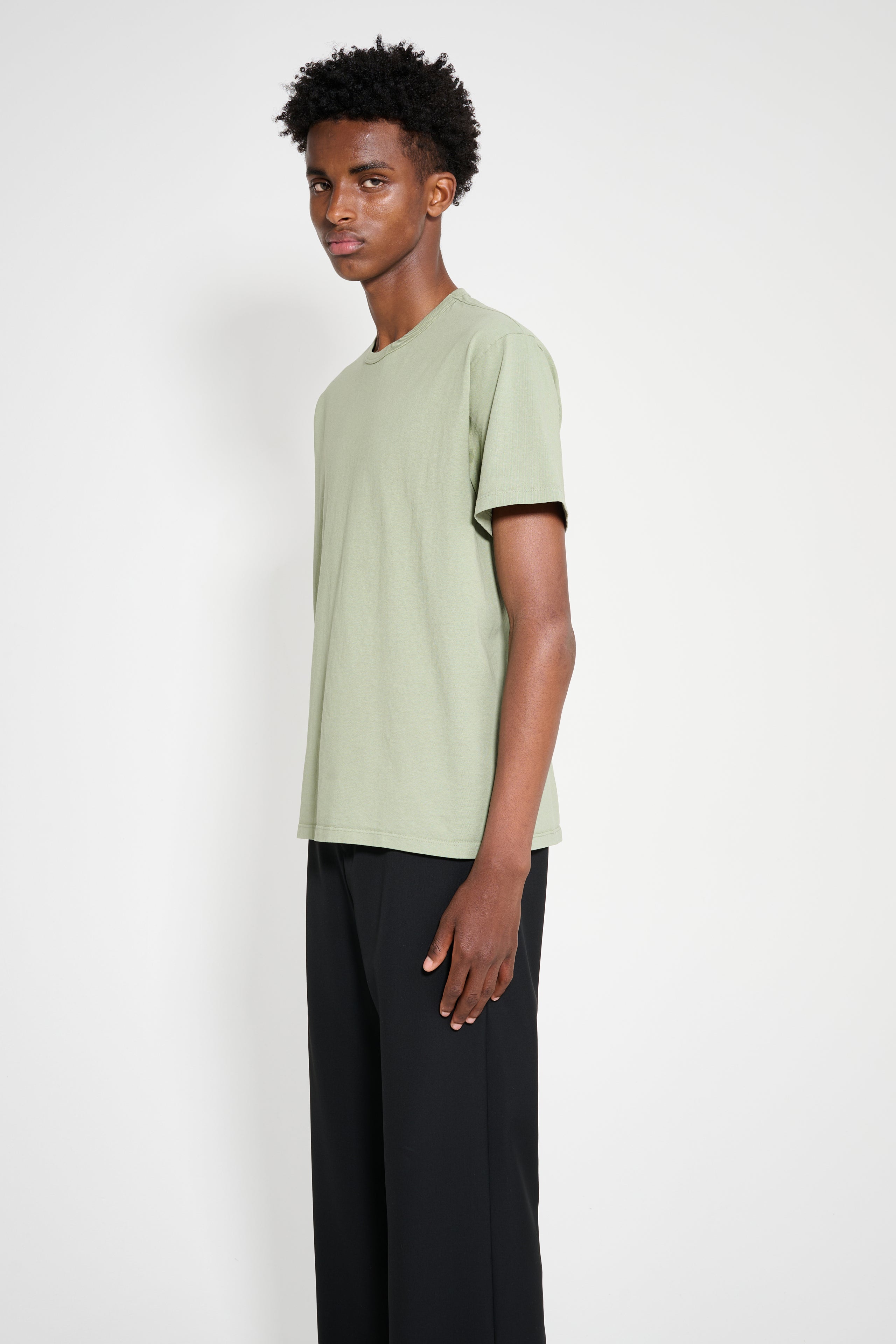 Lady White Co. Our T-shirt 2-Pack Pistacchio