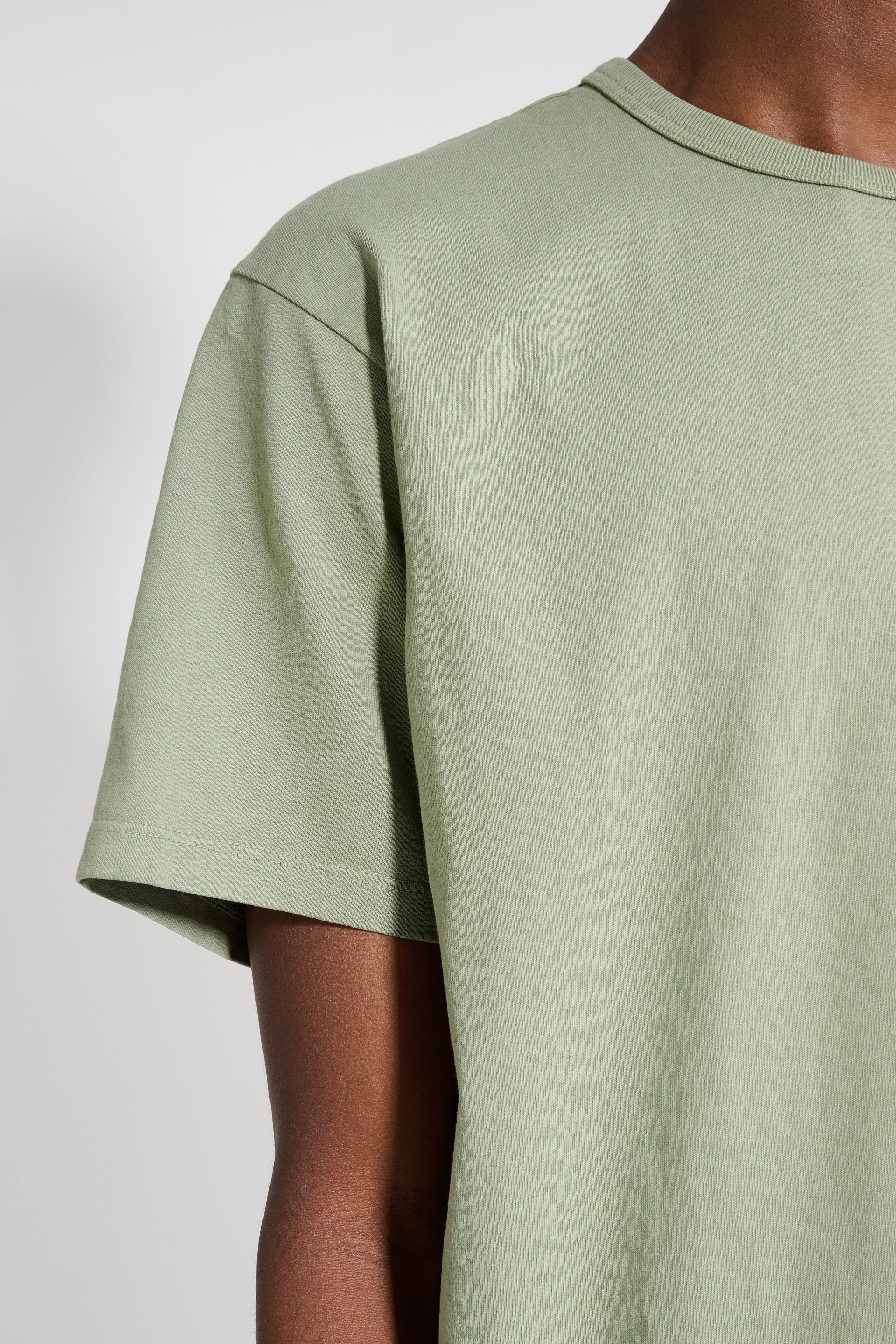 Lady White Co. Our T-shirt 2-Pack Pistacchio