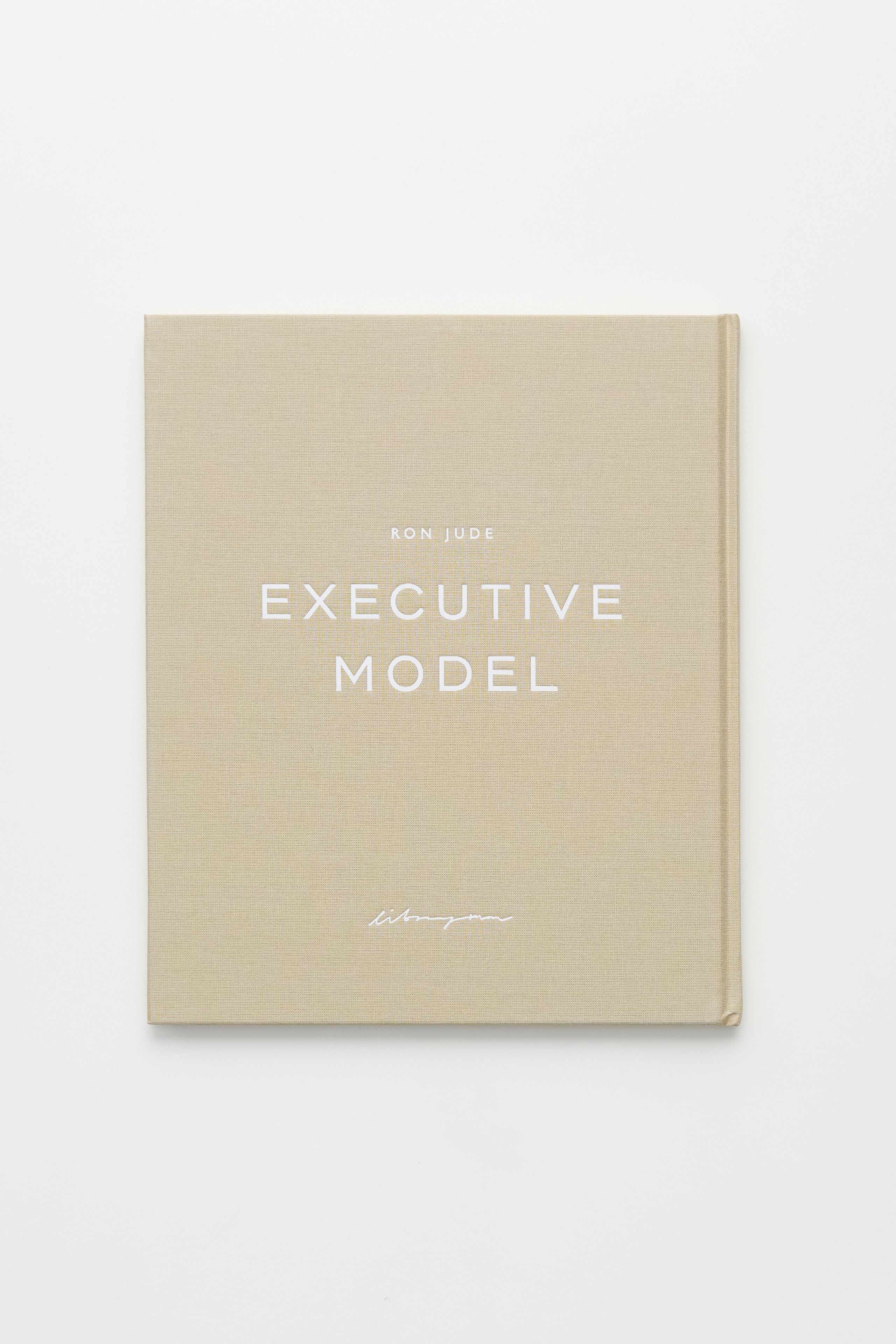 Executive Model by Ron Jude