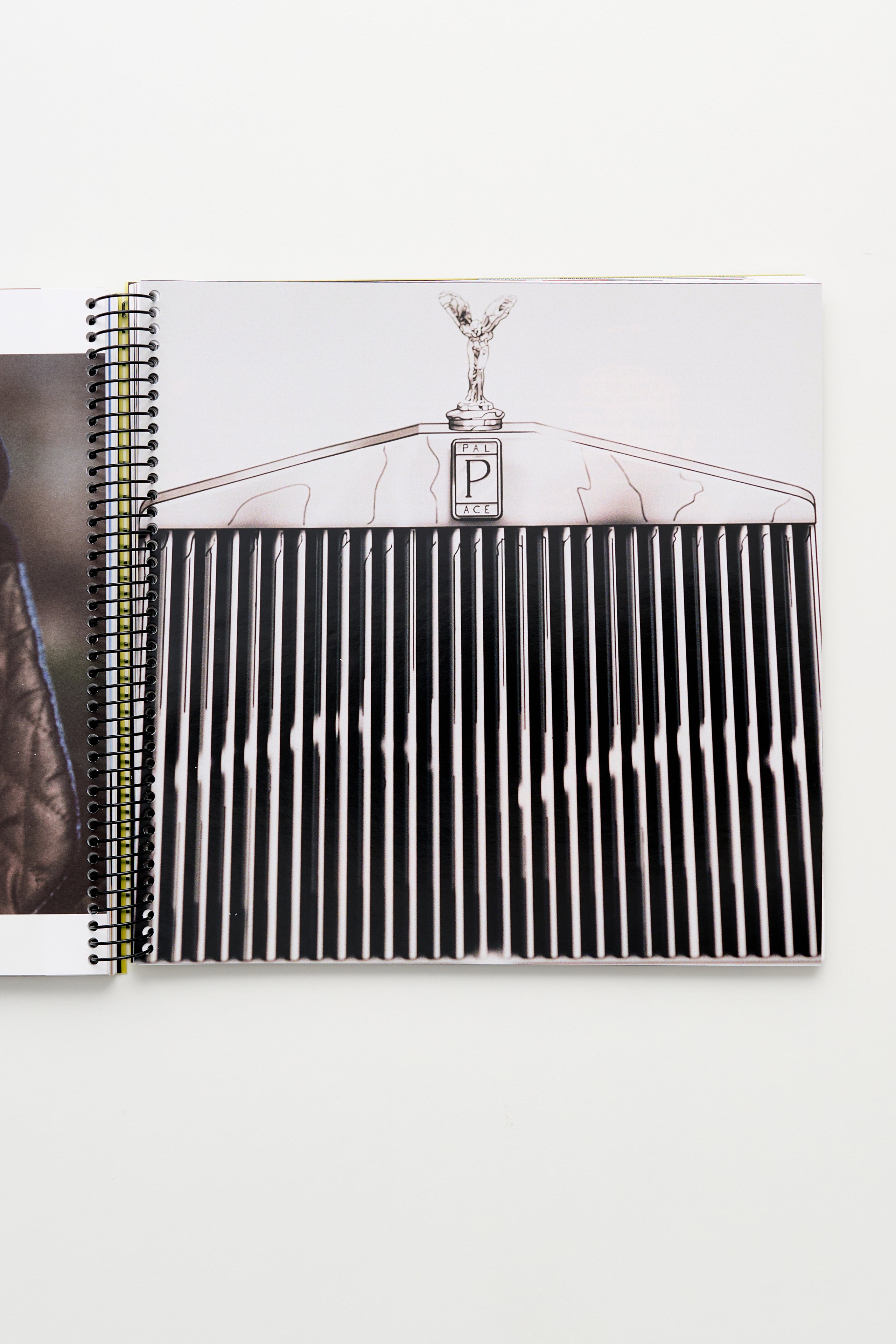 The Palace by Alasdair McLellan