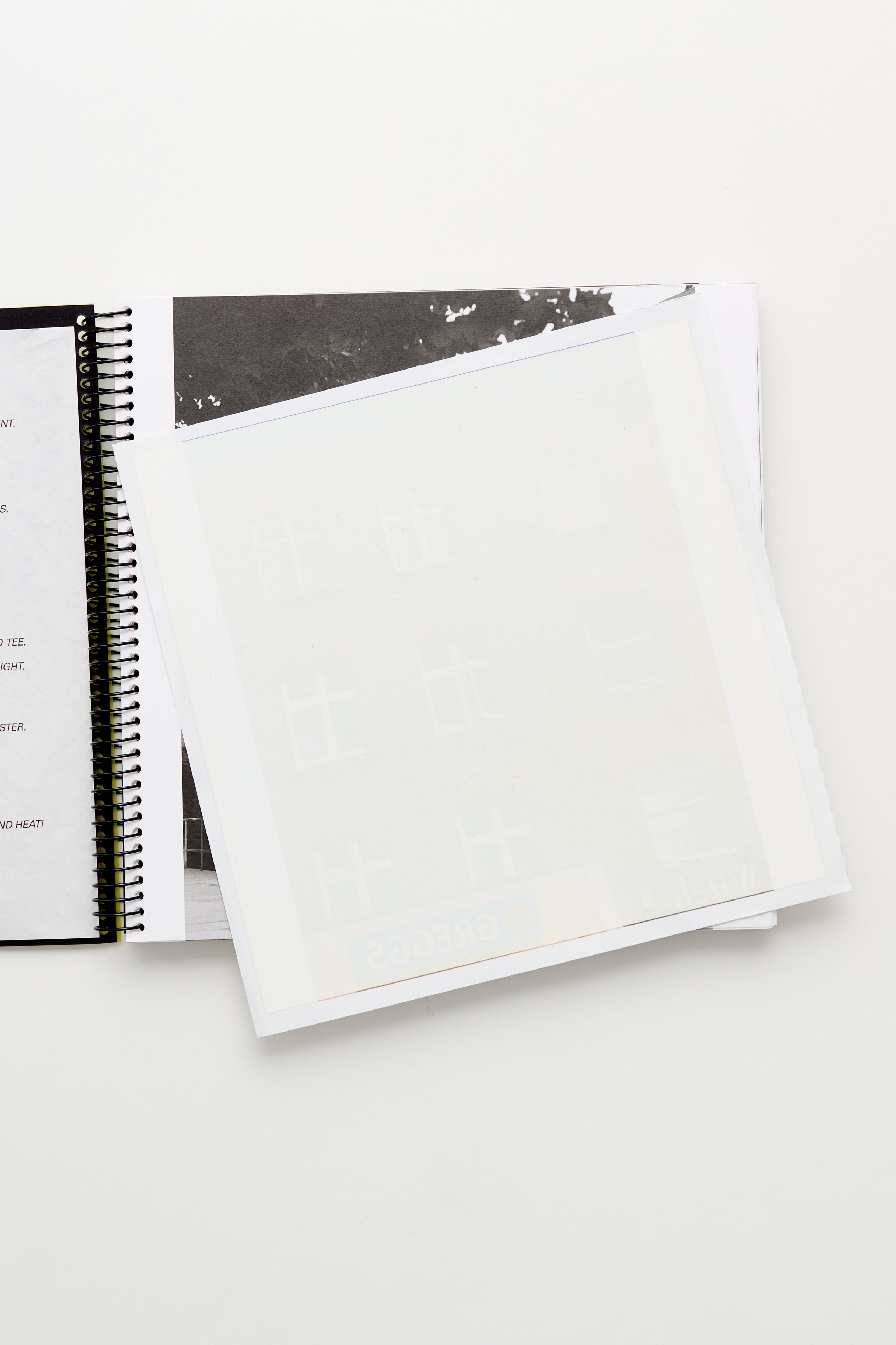 The Palace by Alasdair McLellan