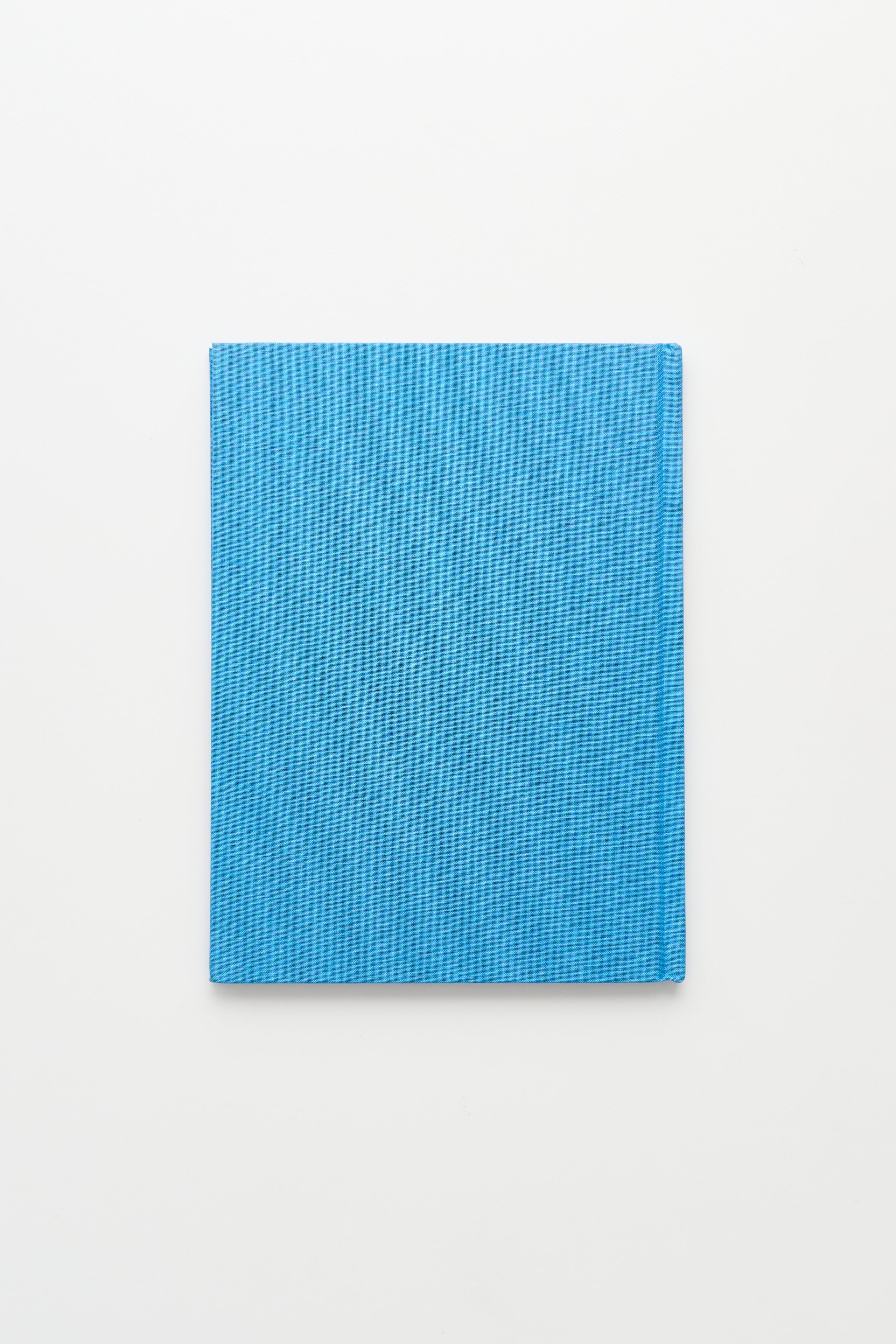 Ryan McGinley: Life Adjustment Center