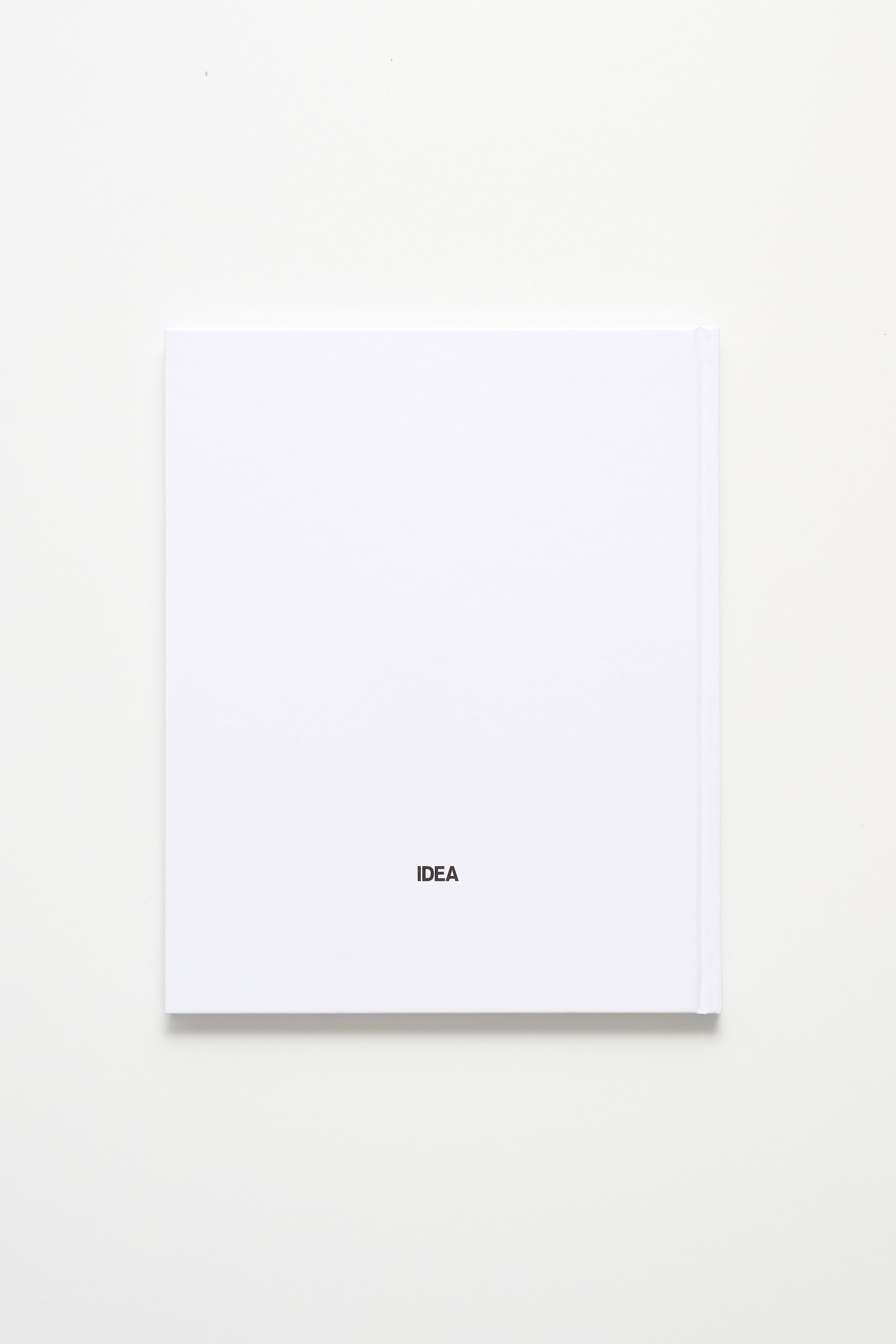 Angela Hill X-Girl Show