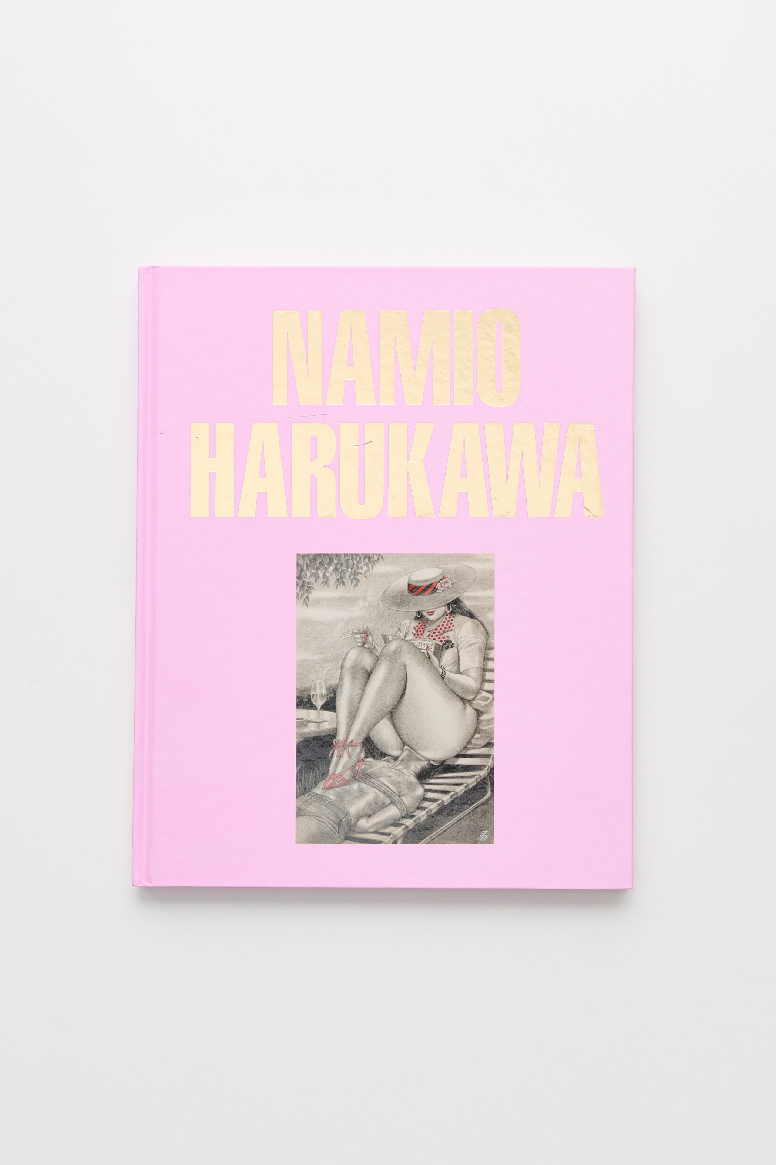 Namio Harukawa Book