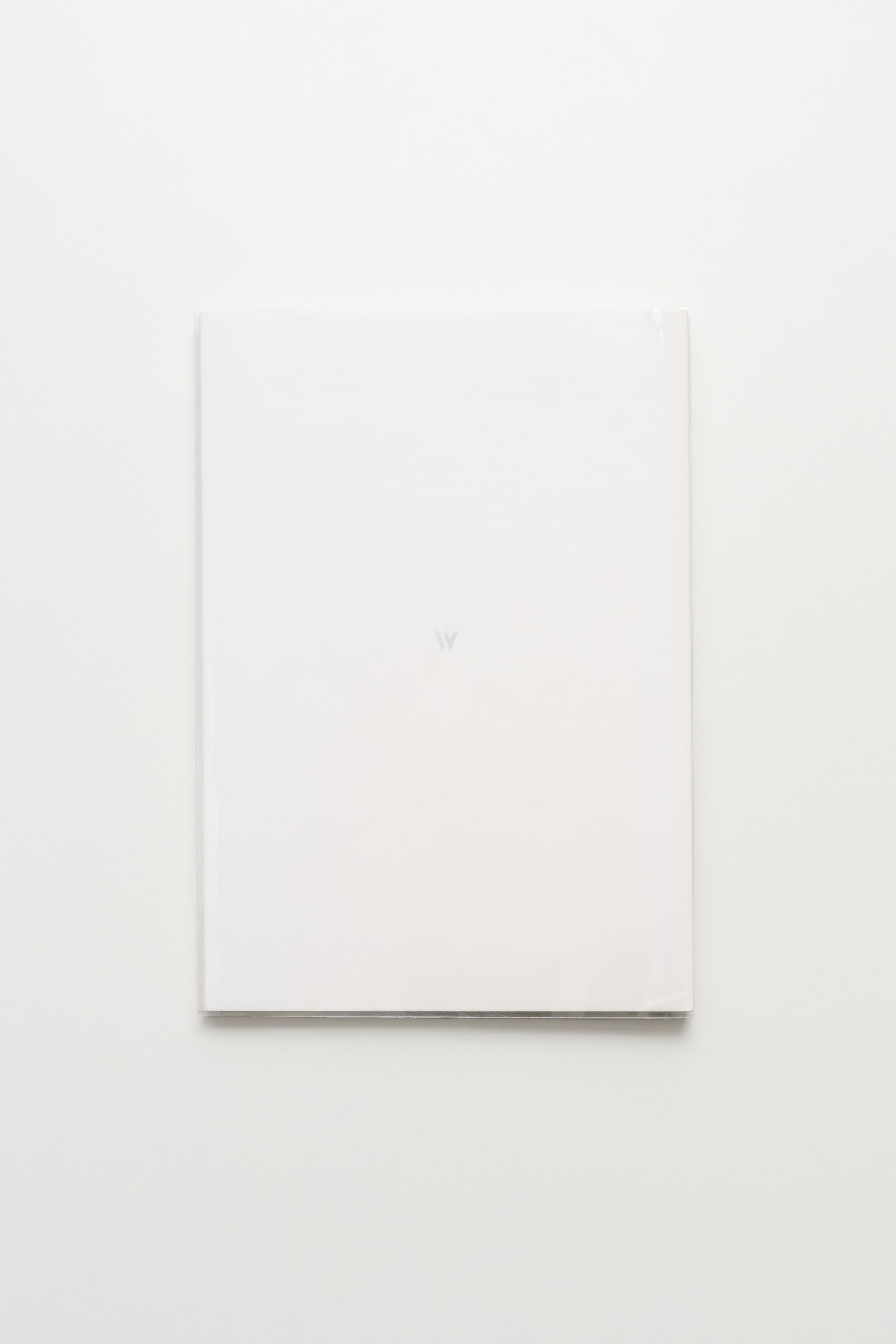 Wolfgang Tillmans Wako Book 6
