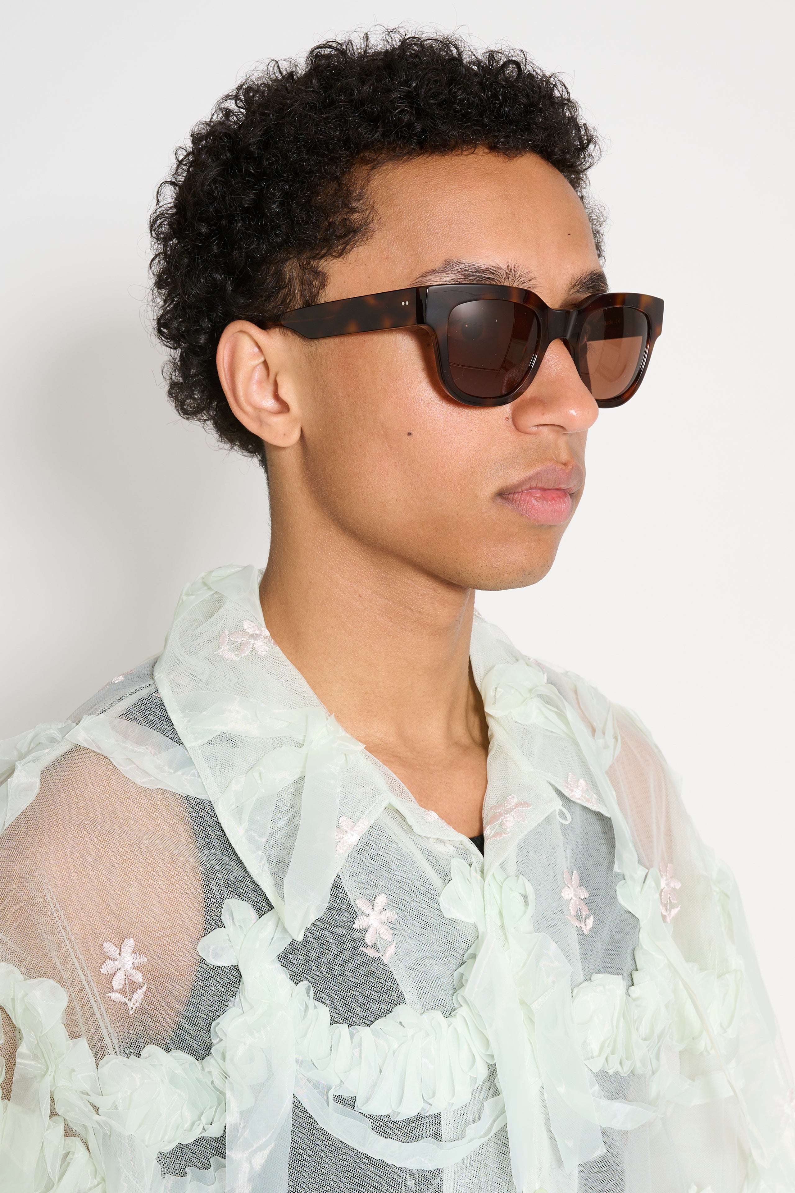 Sun Buddies Liv Tortoise