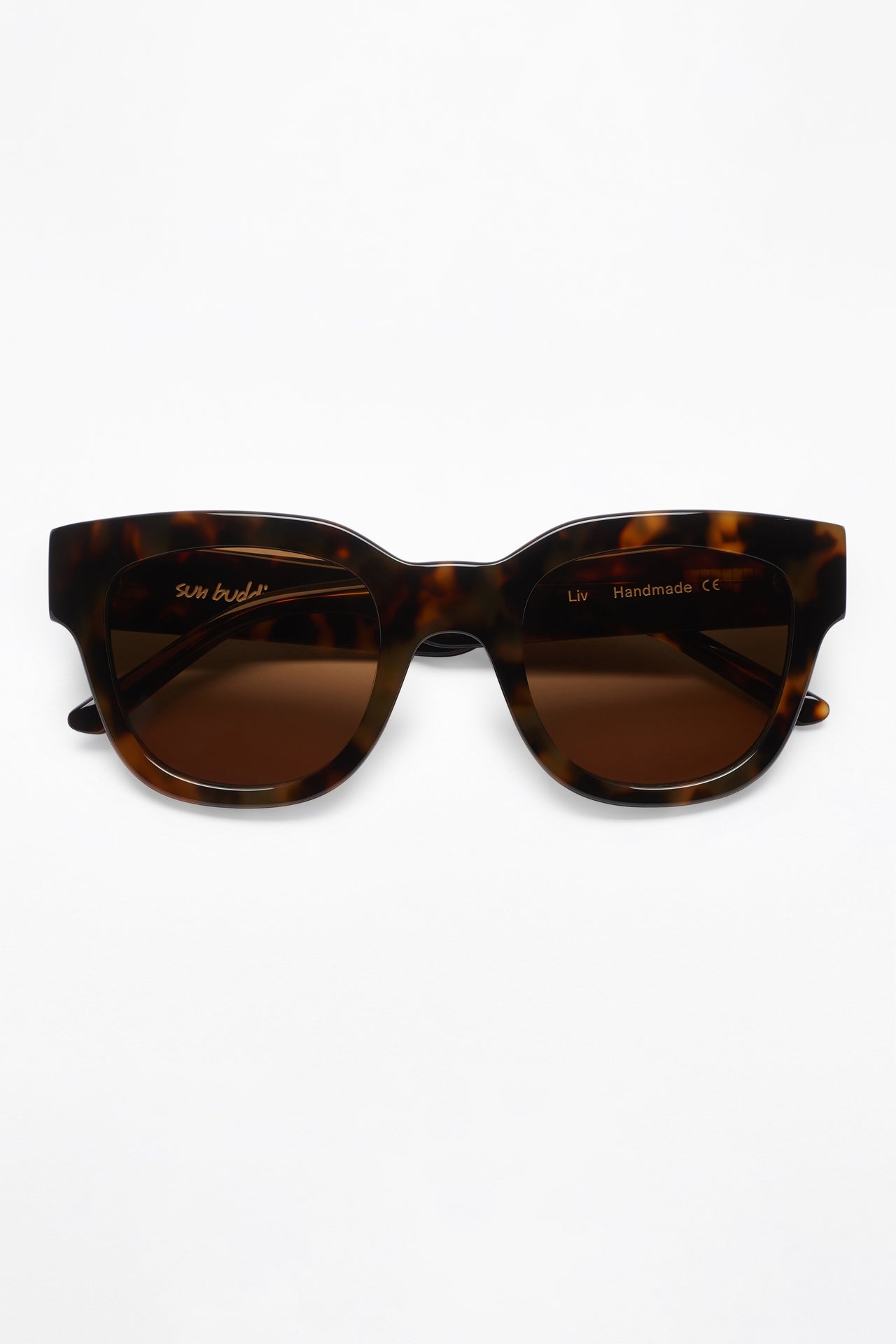 Sun Buddies Liv Tortoise
