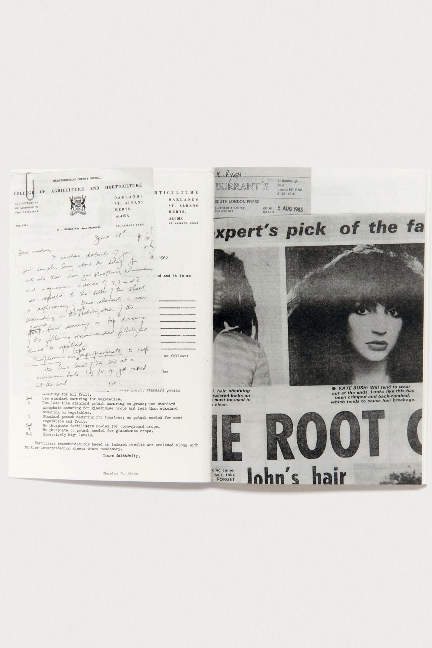 The Secret History of Kate Bush