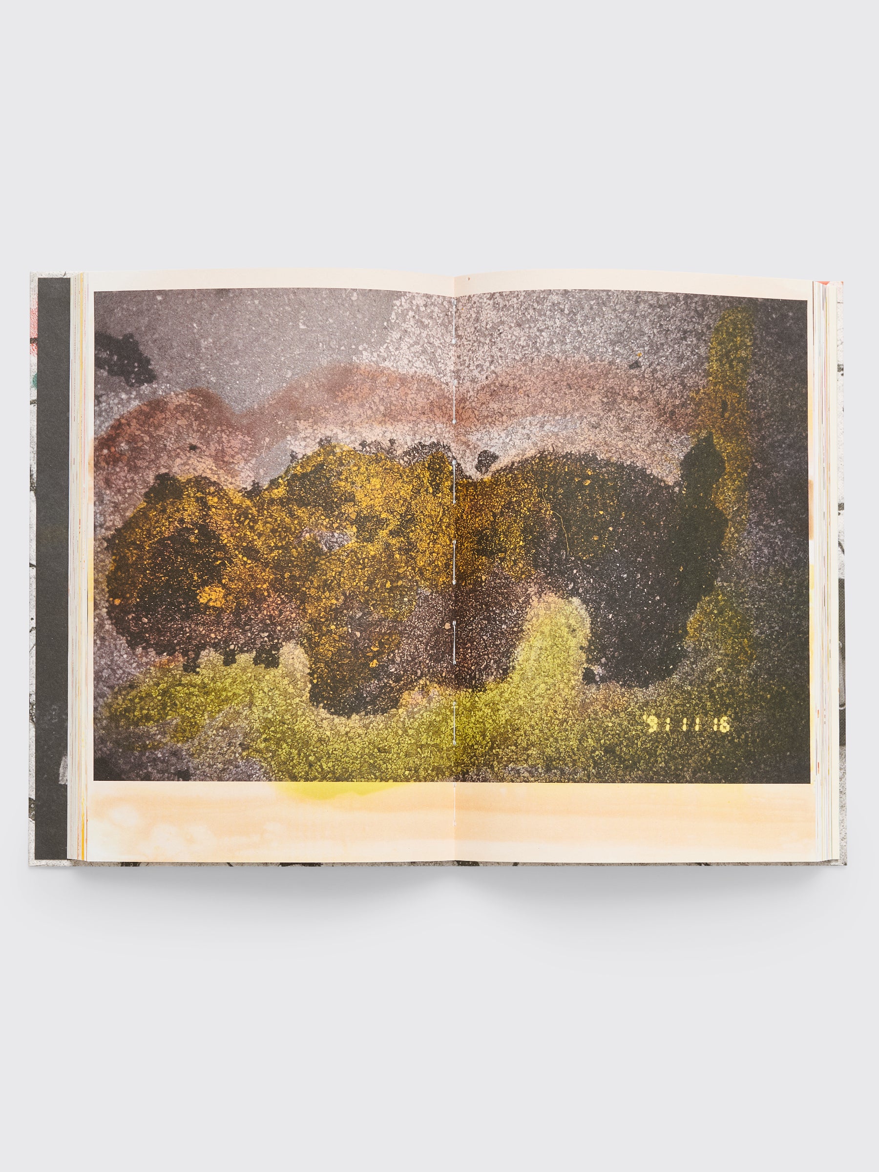 Masahisa Fukase: Hibi