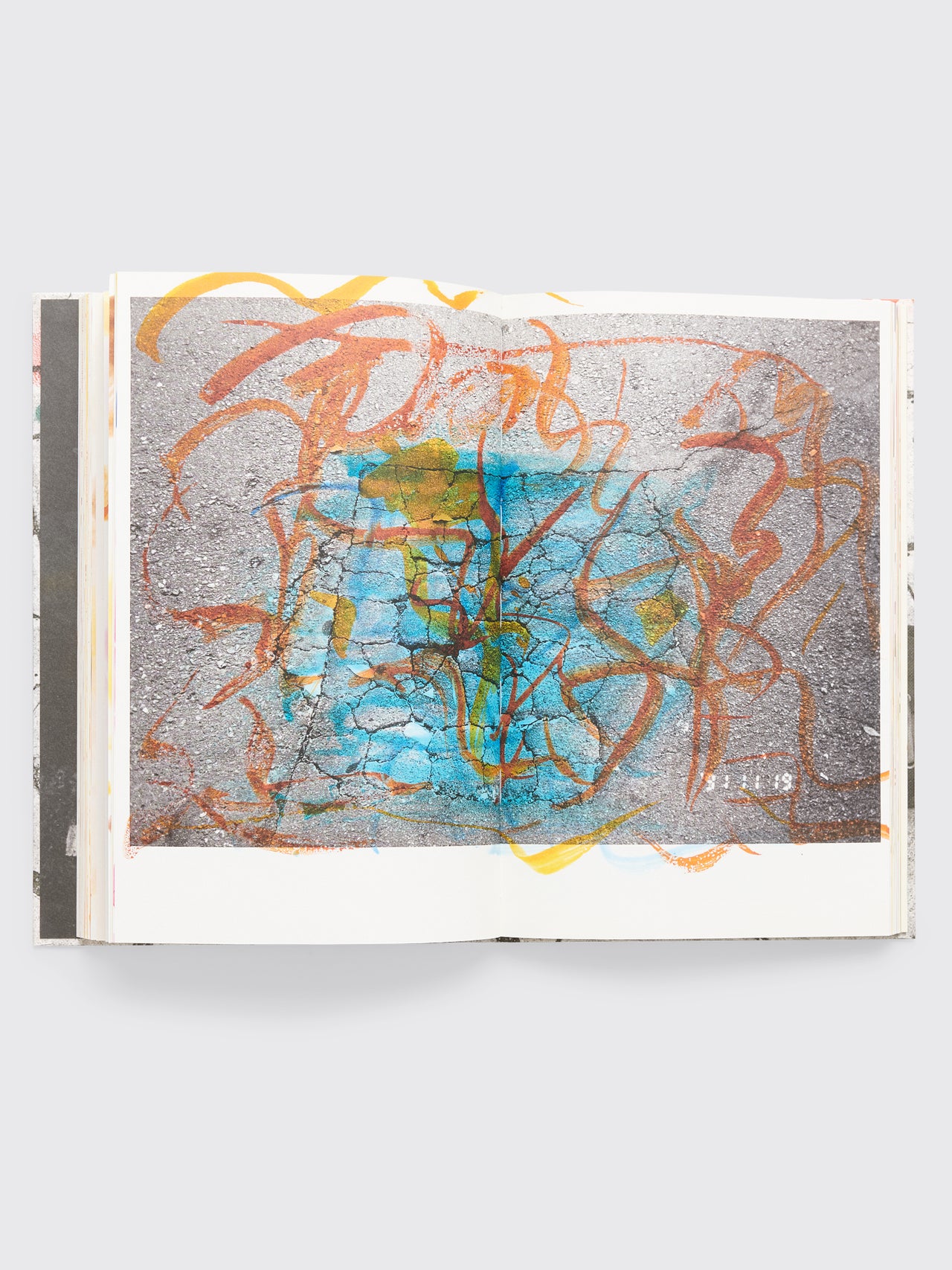 Masahisa Fukase: Hibi