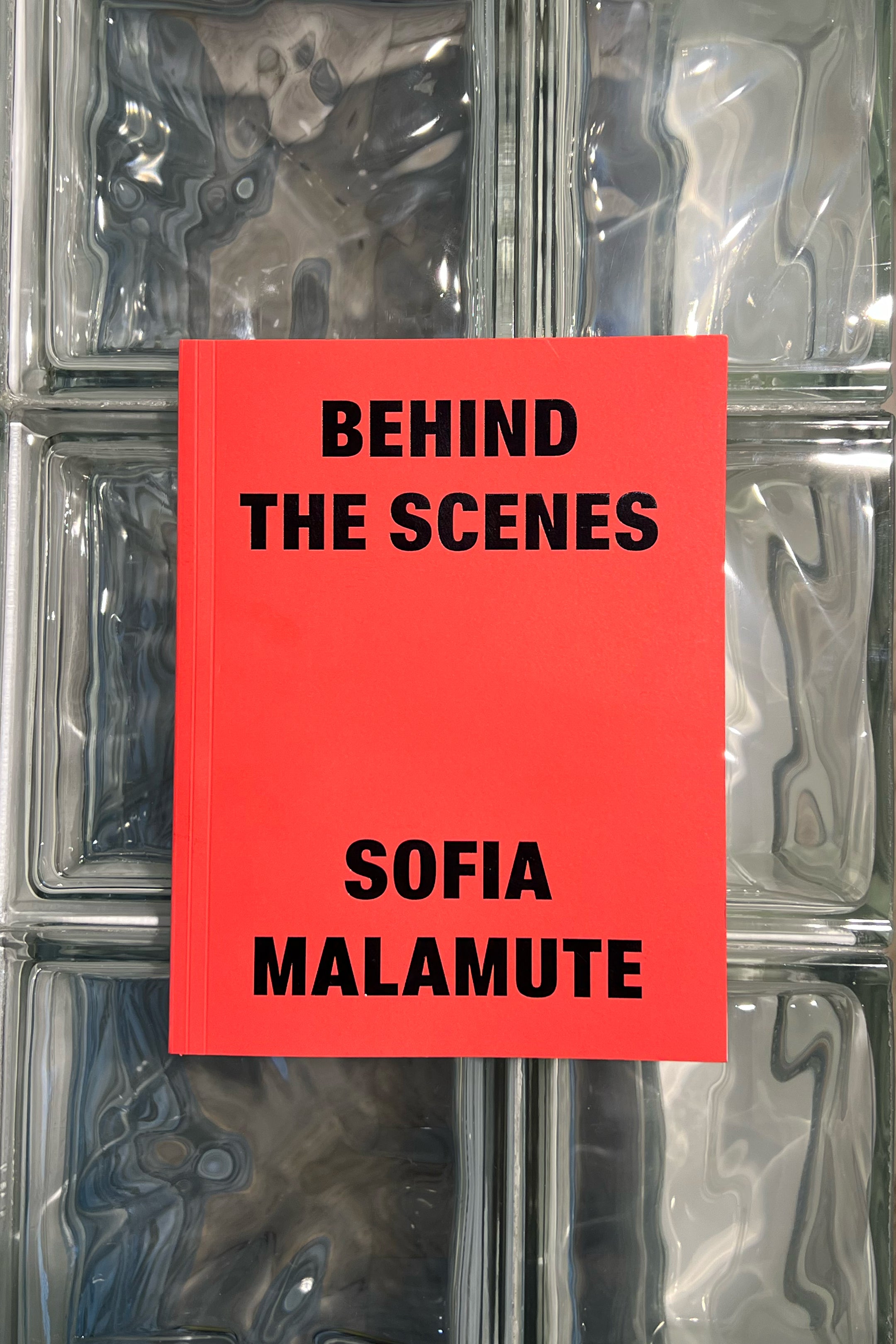 Behind The Scenes by Sofia Malamute