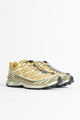 Salomon XT-6 GTX Antelope / Icicle / Portabella