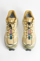 Salomon XT-6 GTX Antelope / Icicle / Portabella