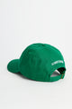 IDEA I Work Here Sometimes Hat Green