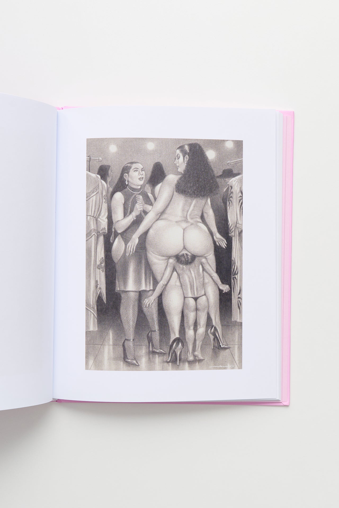 Namio Harukawa Book
