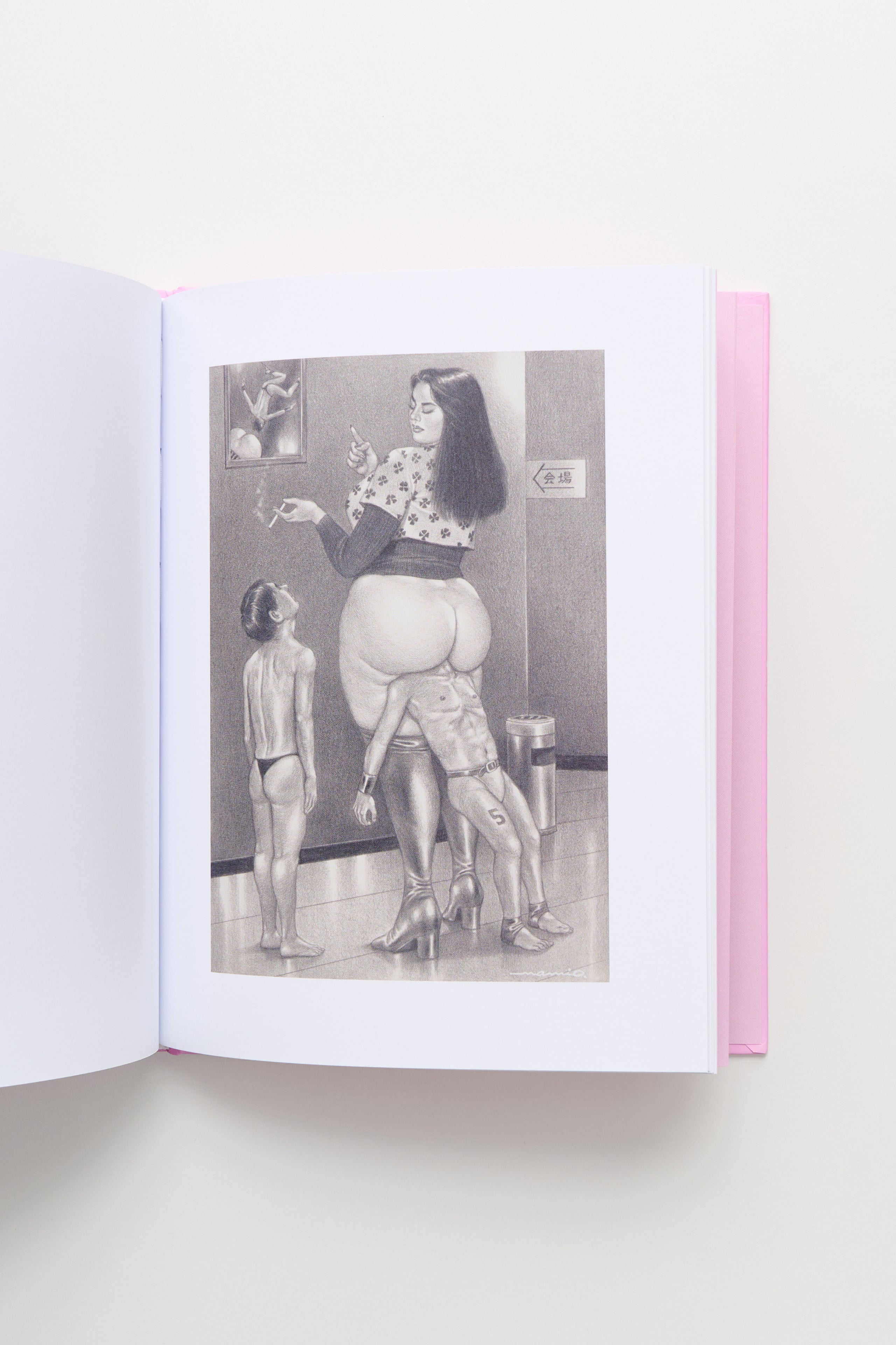 Namio Harukawa Book