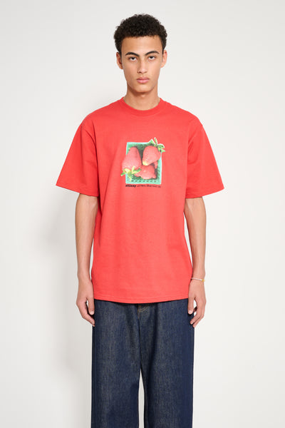 Stüssy Berries Tee Cayenne – Très Bien