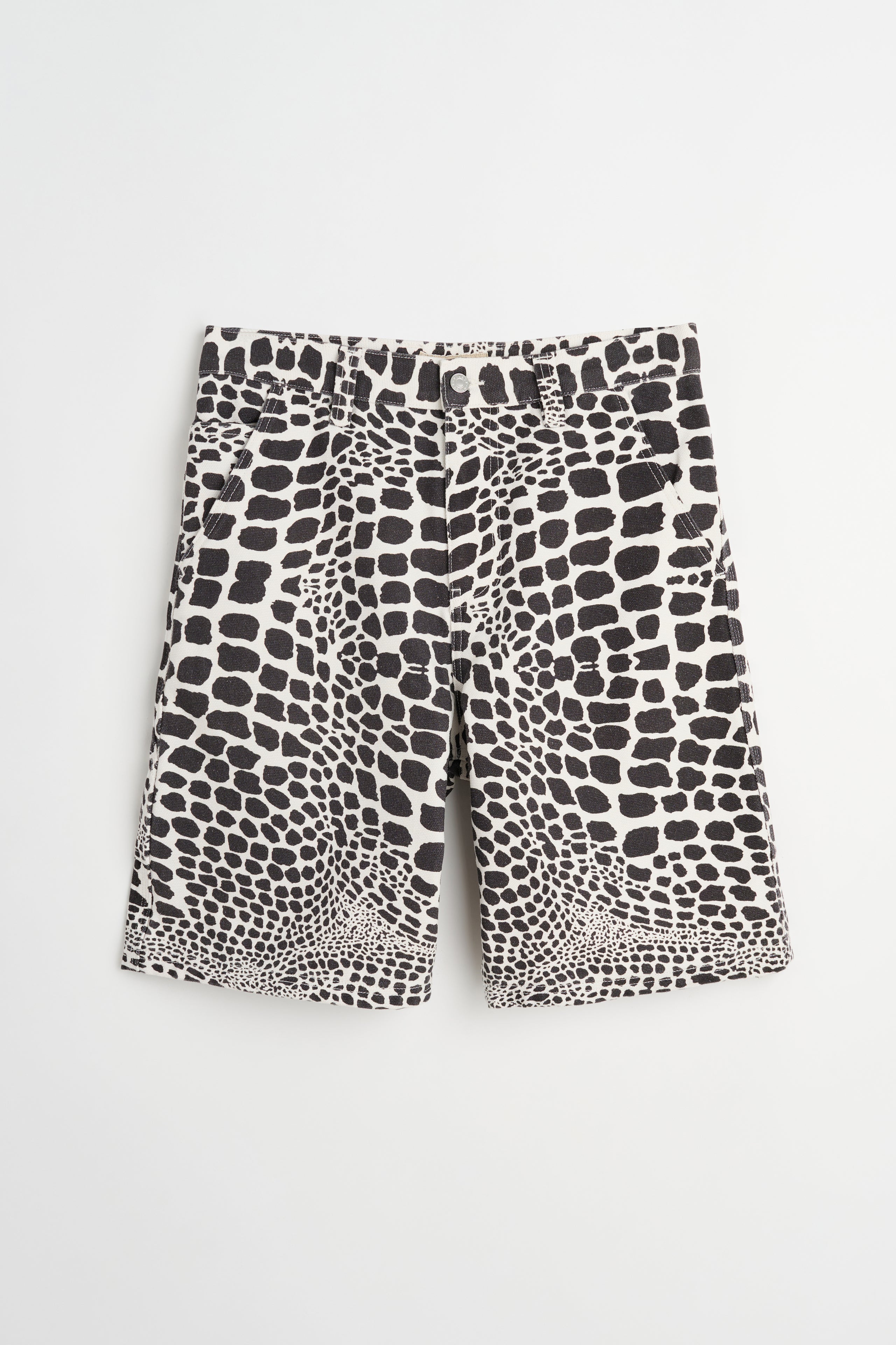 Stüssy Work Shorts Canvas Safari