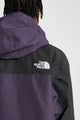 The North Face U HKE Spectra GTX Mountain Light JKT Endless Dusk