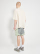 _J.L-A.L_ Nylon Short Grey / Green
