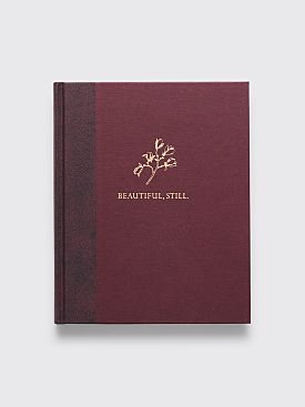 Beautiful, Still by Colby Deal
