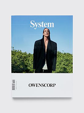 System Issue 19