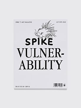 Spike Issue 73: Vulnerability